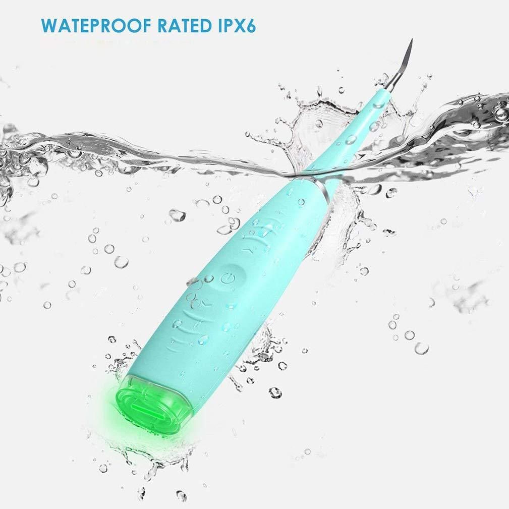 Portable Electric Dental Calculus and Plaque Remover